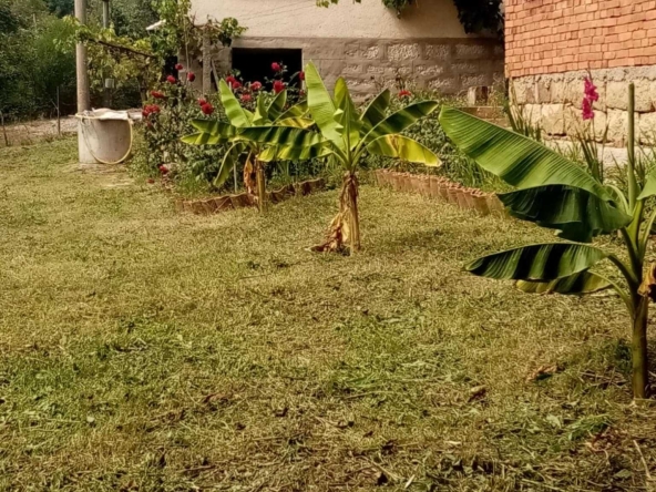 Къща в с. Чупрене, Област Видин - 230 кв.м за 177 €/кв.м - Снимка #1