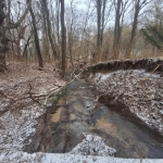 Земеделски имот в Аксаково -  кв.м за 2556 €/дка - Снимка #1