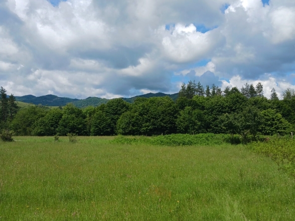 Парцел в Севлиево - 3876 кв.м за 3 €/кв.м - Снимка #1