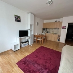 Едностаен апартамент в к.к. Слънчев бряг - 41 кв.м за 1147 €/кв.м - Снимка #1