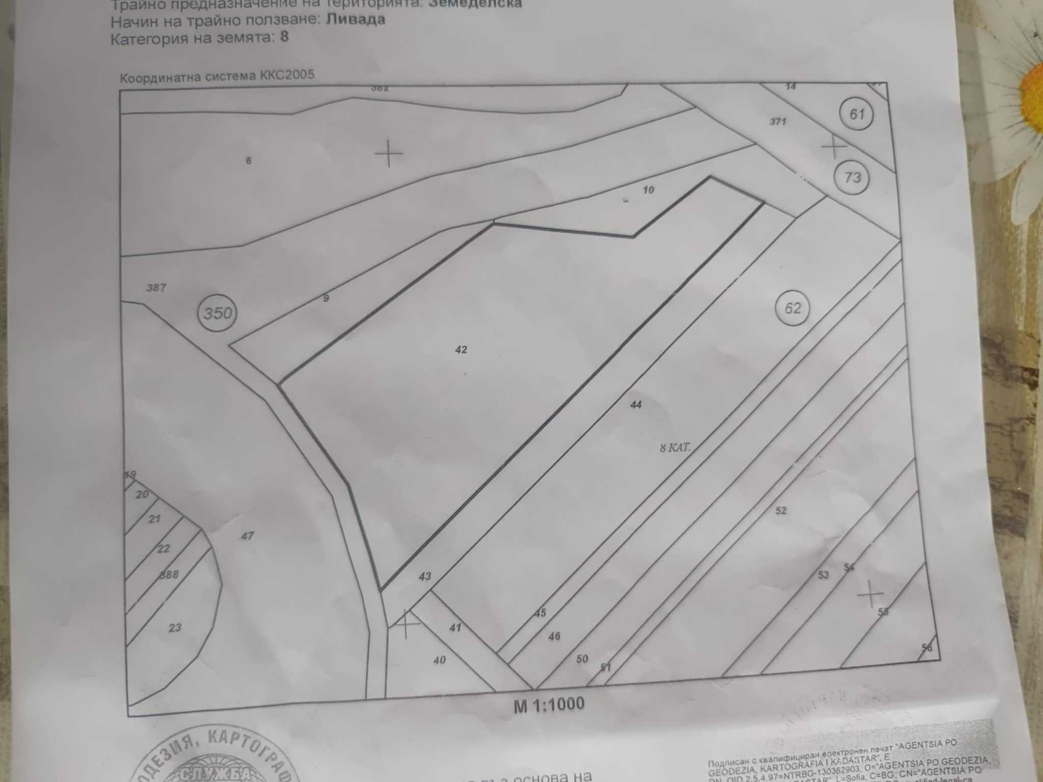 Земеделски имот в Сърница -  кв.м за 0 €/дка - Снимка #1