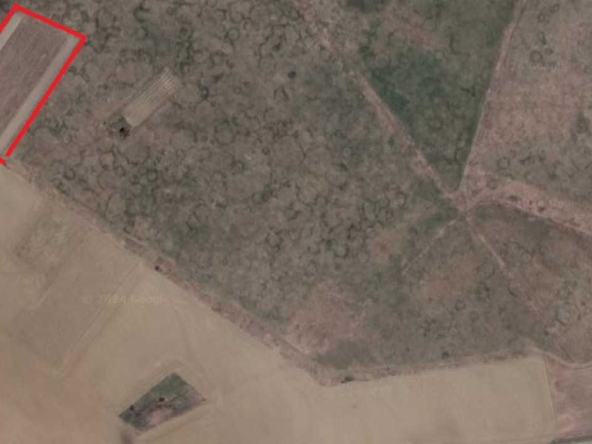 Парцел в с. Мусачево, Област София-област - 10035 кв.м за 15 €/кв.м - Снимка #1