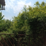 Парцел в с. Долна Диканя, Област Перник - 2800 кв.м за 33 €/кв.м - Снимка #1