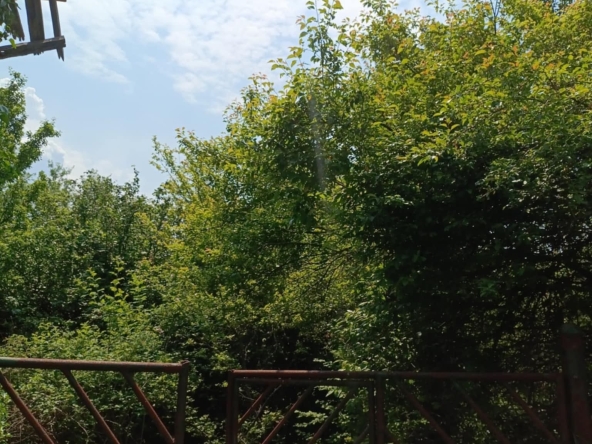 Парцел в с. Долна Диканя, Област Перник - 2800 кв.м за 33 €/кв.м - Снимка #1