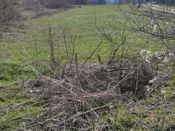 Парцел в Търговище, Запад 2 - 1200 кв.м за 5 €/кв.м - Снимка #1