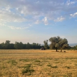 Парцел в Долна баня - 1150 кв.м за 20 €/кв.м - Снимка #1