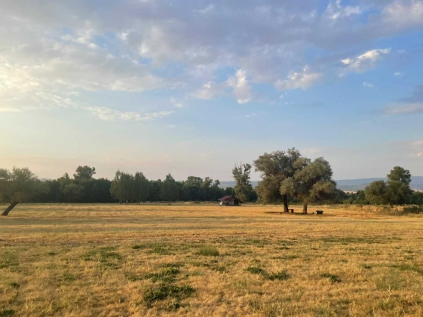 Парцел в Долна баня - 1150 кв.м за 20 €/кв.м - Снимка #1