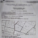 Парцел в с. Гюльовца, Област Бургас - 26990 кв.м за 45 €/кв.м - Снимка #1