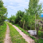 Парцел в с. Макоцево, Област София-област - 774 кв.м за 26 €/кв.м - Снимка #1