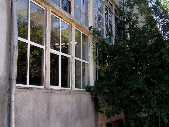 Склад в Троян - 600 кв.м за 300 €/кв.м - Снимка #1