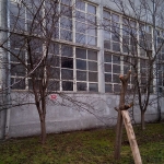 Дава се под наем  в Троян - 220 кв.м за 509.49 € - Снимка #1