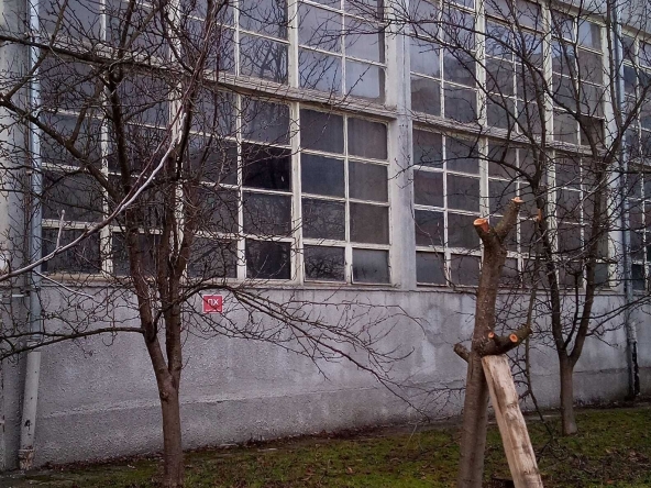 Дава се под наем  в Троян - 220 кв.м за 509.49 € - Снимка #1