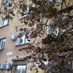 Тристаен апартамент в София, Център - 92 кв.м за 1881 €/кв.м - Снимка #1