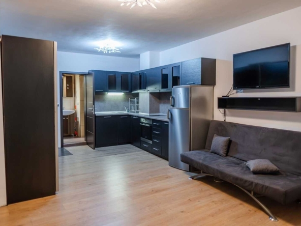 Дава се под наем Едностаен апартамент в София, Хладилника - 45 кв.м за 367.2 € - Снимка #1