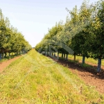 Земеделски имот в с. Братово, Област Бургас -  кв.м за 9211 €/дка - Снимка #1