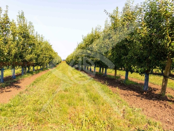 Земеделски имот в с. Братово, Област Бургас -  кв.м за 9211 €/дка - Снимка #1