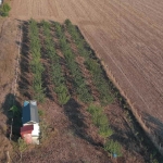 Земеделски имот в с. Орешак, Област Варна -  кв.м за 11667 €/дка - Снимка #1