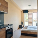 Дава се под наем Едностаен апартамент в Велико Търново, Бузлуджа - 31 кв.м за 219.3 € - Снимка #1