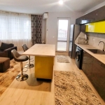 Дава се под наем Двустаен апартамент в Асеновград - 80 кв.м за 298.86 € - Снимка #1