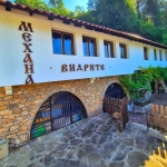 Къща в с. Гложене, Област Ловеч - 500 кв.м за 264 €/кв.м - Снимка #1