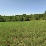 Парцел в с. Писанец, Област Русе - 1860 кв.м за 5 €/кв.м - Снимка #1