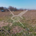 Парцел в с. Просеник, Област Бургас - 2400 кв.м за 13 €/кв.м - Снимка #1