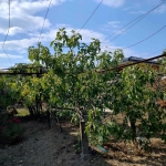 Парцел в Варна, Център - 775 кв.м за 102 €/кв.м - Снимка #1