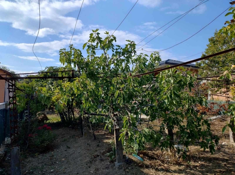 Парцел в Варна, Център - 775 кв.м за 102 €/кв.м - Снимка #1