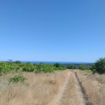 Парцел в Варна, м-т Боровец - юг - 1326 кв.м за 26 €/кв.м - Снимка #1