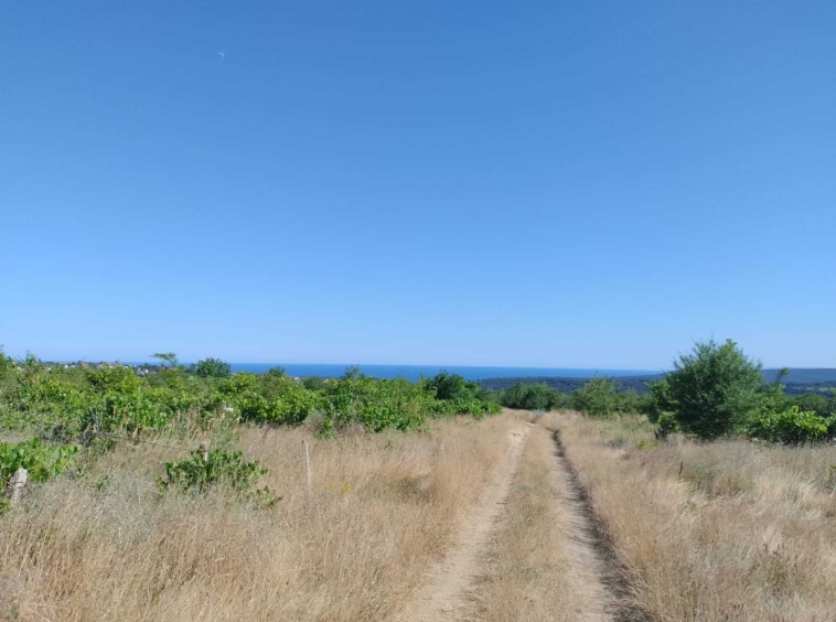 Парцел в Варна, м-т Боровец - юг - 1326 кв.м за 26 €/кв.м - Снимка #1