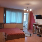 Дава се под наем Едностаен апартамент в Пловдив, Кършияка - 40 кв.м за 316.2 € - Снимка #1