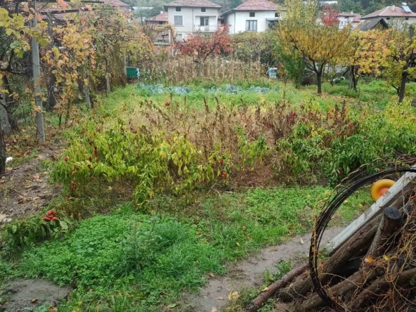 Къща в Кресна - 80 кв.м за 363 €/кв.м - Снимка #1