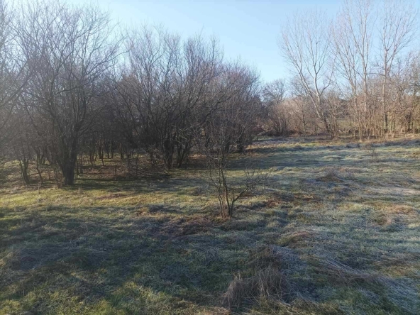 Парцел в Плевен, 9-ти квартал - 1000 кв.м за 29 €/кв.м - Снимка #1