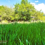 Дава се под наем Къща в с. Егълница, Област Перник - 60 кв.м за 152.49 € - Снимка #1