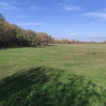 Парцел в Враца, Кулата - 7400 кв.м за 4 €/кв.м - Снимка #1