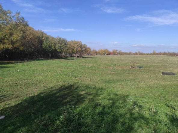 Парцел в Враца, Кулата - 7400 кв.м за 4 €/кв.м - Снимка #1