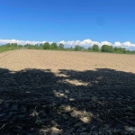 Парцел в с. Ягодово, Област Пловдив - 7996 кв.м за 15 €/кв.м - Снимка #1