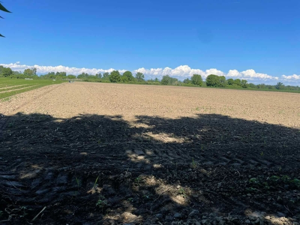 Парцел в с. Ягодово, Област Пловдив - 7996 кв.м за 15 €/кв.м - Снимка #1