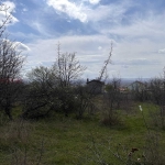 Парцел в с. Веселие, Област Бургас - 1569 кв.м за 16 €/кв.м - Снимка #1