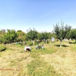 Къща в с. Каменна река, Област Хасково - 104 кв.м за 162 €/кв.м - Снимка #1