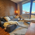 Дава се под наем Едностаен апартамент в Банско - 55 кв.м за 74.46 € - Снимка #1