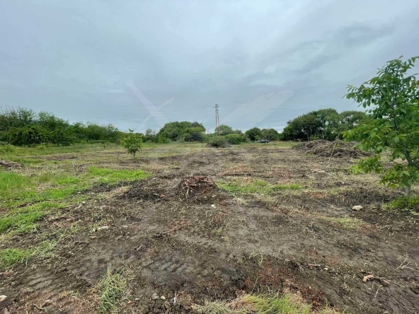 Парцел в с. Белащица, Област Пловдив - 921 кв.м за 48 €/кв.м - Снимка #1