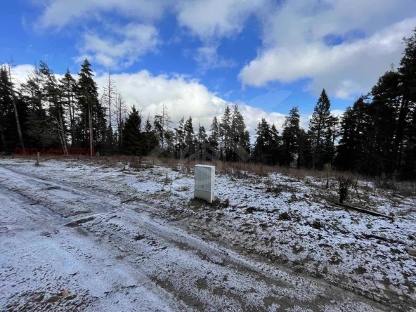 Парцел в с. Здравец, Област Пловдив - 2878 кв.м за 85 €/кв.м - Снимка #1