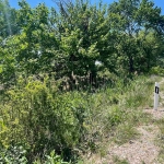 Парцел в с. Ягодово, Област Пловдив - 9003 кв.м за 13 €/кв.м - Снимка #1