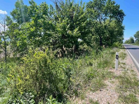 Парцел в с. Ягодово, Област Пловдив - 9003 кв.м за 13 €/кв.м - Снимка #1