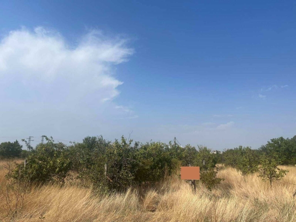 Парцел в с. Златитрап, Област Пловдив - 2709 кв.м за 13 €/кв.м - Снимка #1