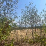 Парцел в с. Златитрап, Област Пловдив - 2000 кв.м за 23 €/кв.м - Снимка #1