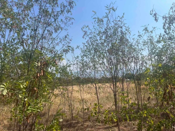 Парцел в с. Златитрап, Област Пловдив - 2000 кв.м за 23 €/кв.м - Снимка #1