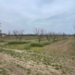 Парцел в с. Цалапица, Област Пловдив - 3238 кв.м за 2 €/кв.м - Снимка #1