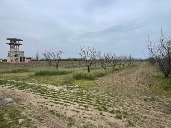 Парцел в с. Цалапица, Област Пловдив - 3238 кв.м за 2 €/кв.м - Снимка #1